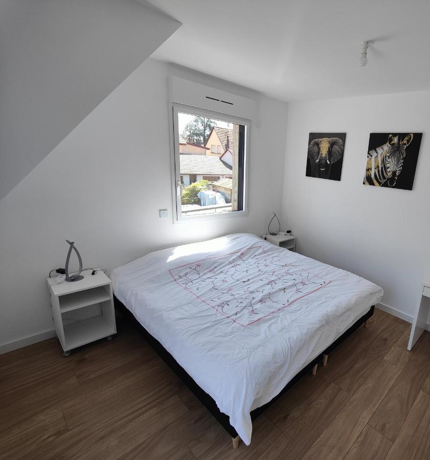 Appartement 48M², Strasbourg Centre A 15 Min En Train Fegersheim Eksteriør bilde